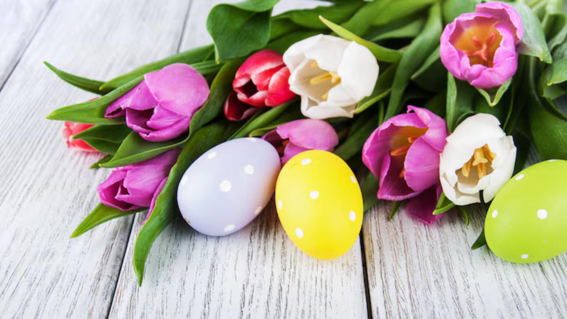 pisanki-i-tulipany_87742-12878